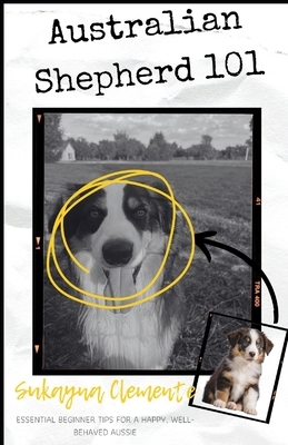 Australian Shepherd 101: Essential Beginner Tips for a Happy, Well-Behaved Aussie