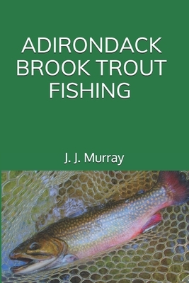 Adirondack Brook Trout Fishing