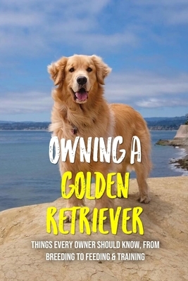 Owning A Golden Retriever: Things Every Owner Should Know, From Breeding To Feeding & Training: The Best Breeding Practices For Golden Retrievers