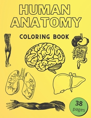 Human Anatomy Coloring Book: Informative Guide To The Human Body (internal organs the nervous system, reproductive systems and limbs) For Kids
