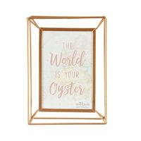 Fotolijstje in roze en goud World explorer