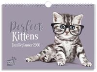 Familieplanner 2020 Katten Studiopets - FSC Mix Credit