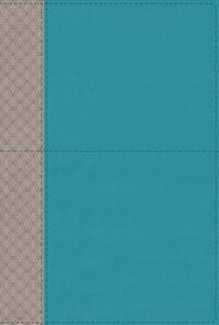 NIV Study Bible, Fully Revised Edition, Leathersoft, Teal/Gray, Red Letter, Comfort Print