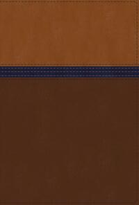 NIV Study Bible, Fully Revised Edition, Personal Size, Leathersoft, Brown/Blue, Red Letter, Comfort Print