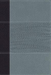 NIV Study Bible, Fully Revised Edition, Personal Size, Leathersoft, Navy/Blue, Red Letter, Comfort Print