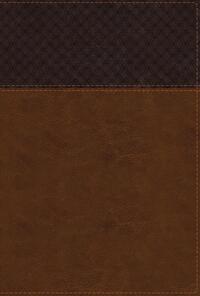 NIV Study Bible, Fully Revised Edition, Large Print, Leathersoft, Brown, Red Letter, Comfort Print