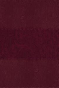 NIV Study Bible, Fully Revised Edition, Large Print, Leathersoft, Burgundy, Red Letter, Comfort Print