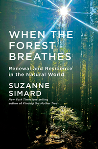 When the Forest Breathes: Renewal and Resilience in the Natural World
