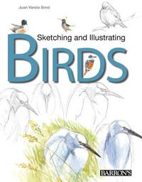 Sketching & Illustrating Birds: Professional Drawing Class