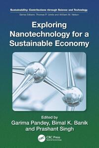 Exploring Nanotechnology for a Sustainable Economy