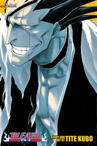 Bleach (3-in-1 Edition), Vol. 5