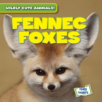 Fennec Foxes