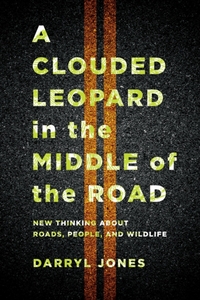 A Clouded Leopard in the Middle of the Road