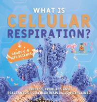 What is Cellular Respiration? Process, Products and Reactants of Cellular Respiration Explained | Grade 6-8 Life Science