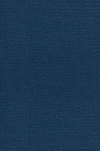 Jungle By Upton Sinclair Ficti