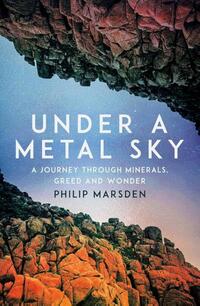 Under a Metal Sky