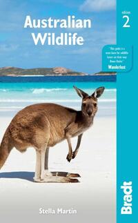 Australian Wildlife