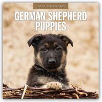 German Shepherd Puppies 2026 Square Wall Calendar