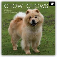 Chow Chows 2026 - 16-Monatskalender