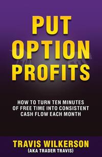 Put Option Profits