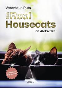 The Real Housecats of Antwerp