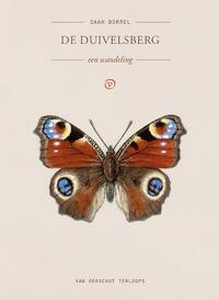 De Duivelsberg