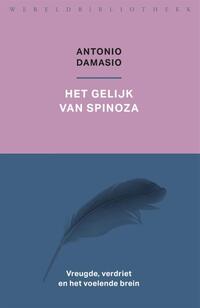 Het gelijk van Spinoza