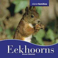 Eekhoorns