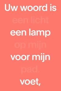 NBV21 Midsize Paperback