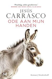 Ode aan mijn handen