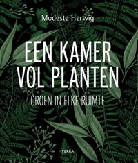 Een kamer vol planten