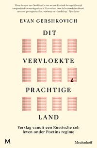 Dit vervloekte prachtige land