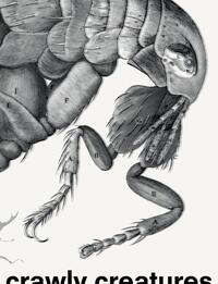 Crawly Creatures