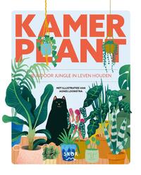 Kamerplant