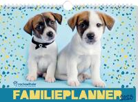 Rachael Hale Honden familieplanner - 2023