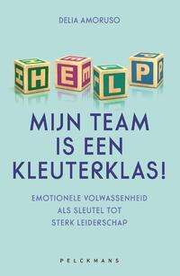 Help, mijn team is een kleuterklas!