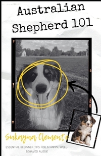 Australian Shepherd 101: Essential Beginner Tips for a Happy, Well-Behaved Aussie