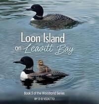 Videtto, D: Loon Island on Leavitt Bay